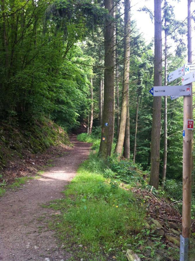 Ferienwohnung Sayn Bei Koblenz Bendorf Bagian luar foto
